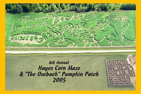 2005cornmaze
