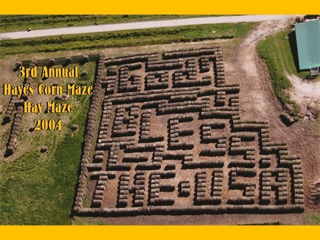 2004haymaze