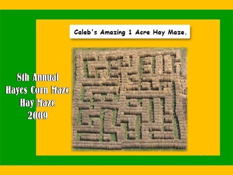 2009haymaze
