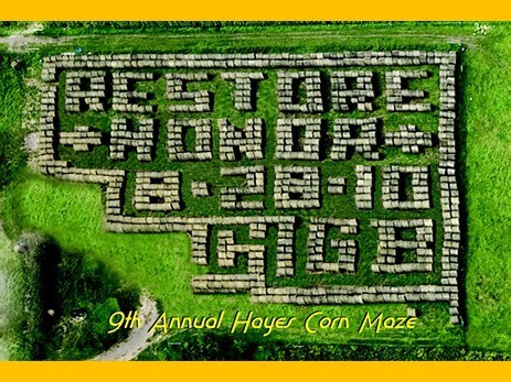 2010haymaze