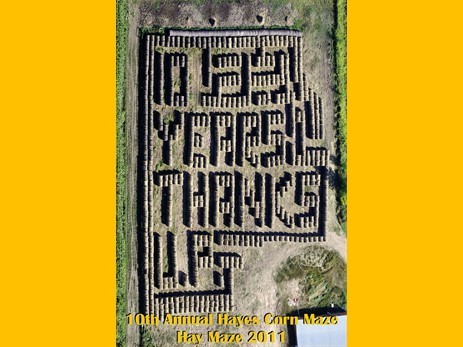 2011haymaze