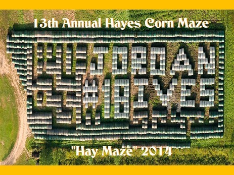2014haymaze